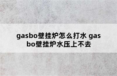 gasbo壁挂炉怎么打水 gasbo壁挂炉水压上不去